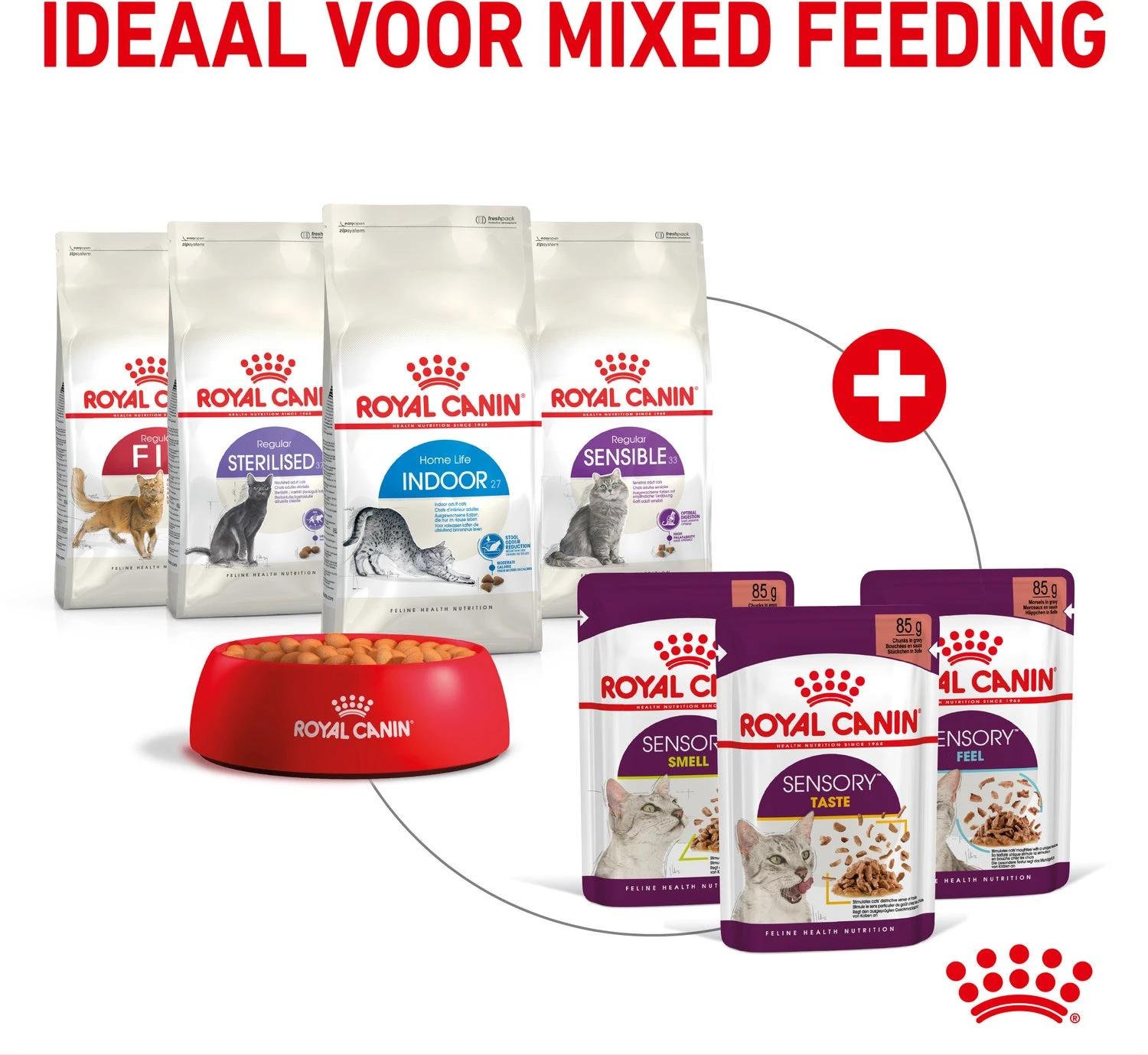 Royal Canin Kattenvoer In Saus Sensory Smell 85 G 12 Stuks 7 Royal Canin Kattenvoer In Saus Sensory Smell 85 G 12 Stuks - Afbeelding 5