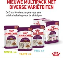 Royal Canin Kattenvoer In Saus Sensory Smell 85 G 12 Stuks 17 Royal Canin Kattenvoer In Saus Sensory Smell 85 G 12 Stuks -Dierenwinkel Met Korting 9003579018507 8