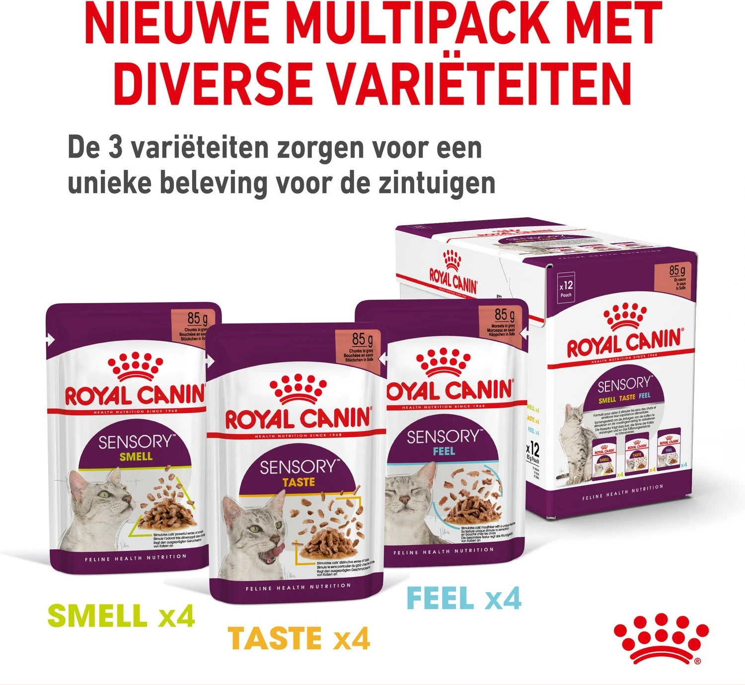 Royal Canin Kattenvoer In Saus Sensory Smell 85 G 12 Stuks 10 Royal Canin Kattenvoer In Saus Sensory Smell 85 G 12 Stuks - Afbeelding 8