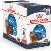 Royal Canin Kattenvoer In Saus Light Weight 85 G 12 Stuks 1 Royal Canin Kattenvoer In Saus Light Weight 85 G 12 Stuks -Dierenwinkel Met Korting 9003579308707 1