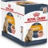Royal Canin Kattenvoer In Saus Intense Beauty 85 G 12 Stuks