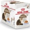 Royal Canin Kattenvoer In Gelei Ageing 12+ 85 G 12 Stuks 2 Royal Canin Kattenvoer In Gelei Ageing 12+ 85 G 12 Stuks -Dierenwinkel Met Korting 9003579311813 1