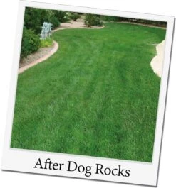 Dog Rocks Natuurstenen 200 G -Dierenwinkel Met Korting 9335986000012 3